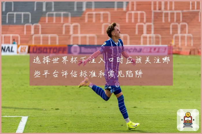 选择世界杯下注入口时应该关注哪些平台评估标准和常见陷阱