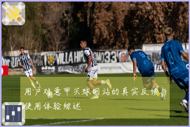 用户对意甲买球网站的真实反馈与使用体验综述
