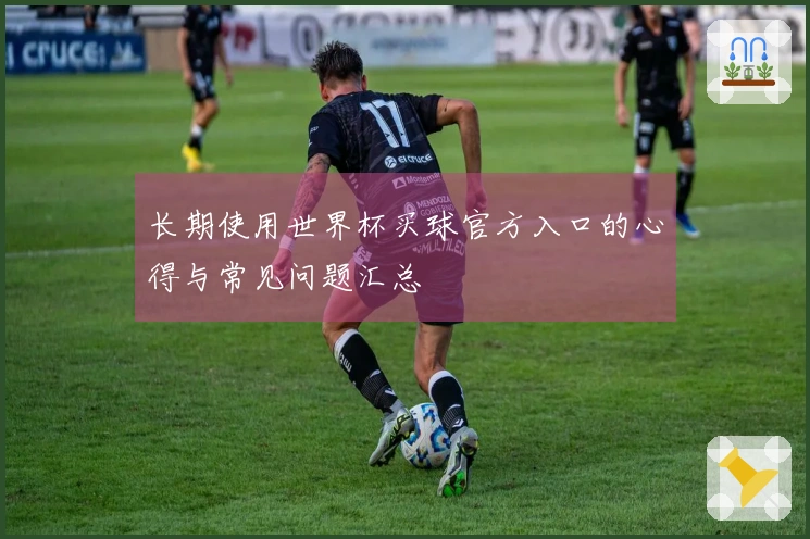 长期使用世界杯买球官方入口的心得与常见问题汇总