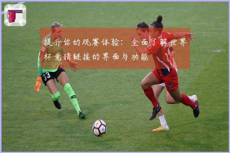 提升你的观赛体验：全面了解世界杯竞猜链接的界面与功能