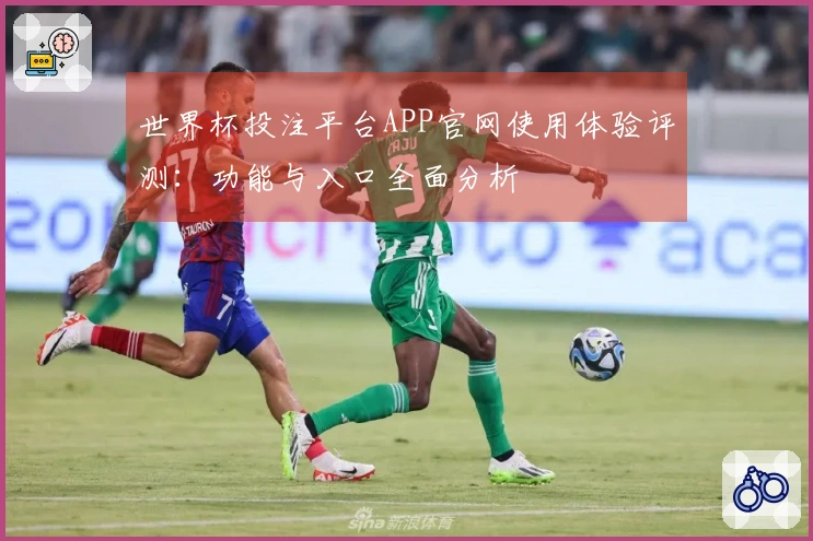 世界杯投注平台APP官网使用体验评测：功能与入口全面分析