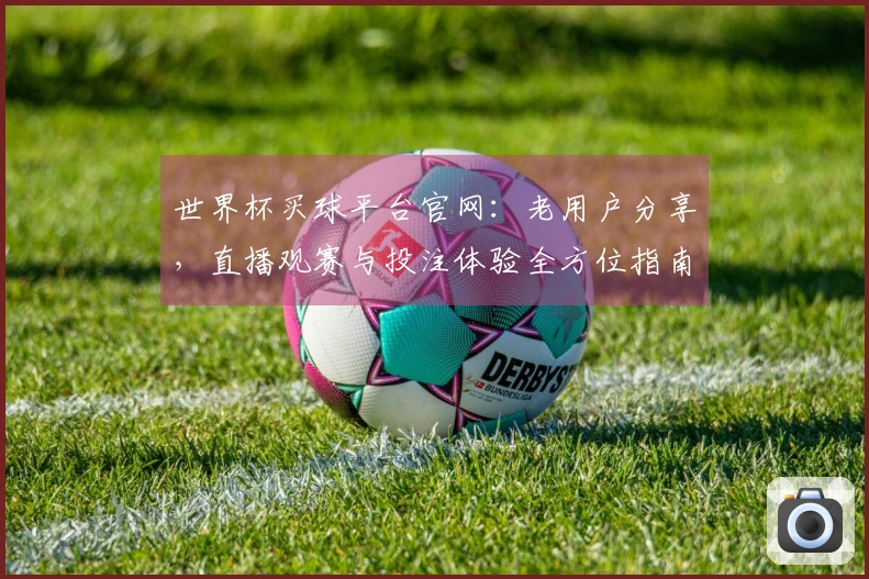 世界杯买球平台官网：老用户分享，直播观赛与投注体验全方位指南