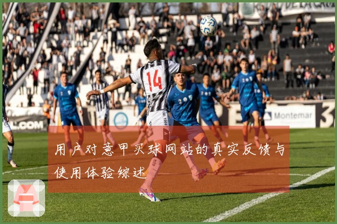 用户对意甲买球网站的真实反馈与使用体验综述