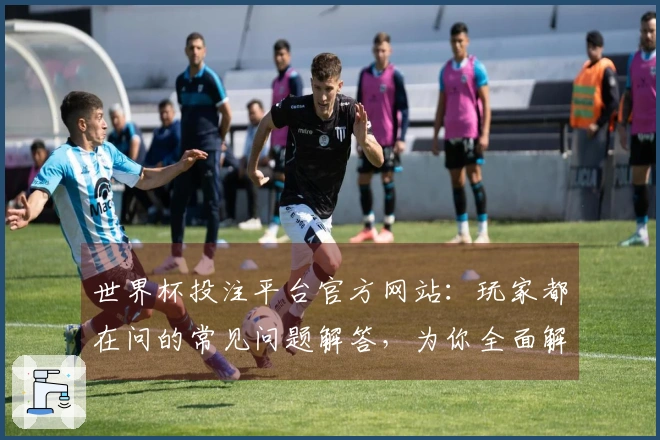 世界杯投注平台官方网站：玩家都在问的常见问题解答，为你全面解析使用指南