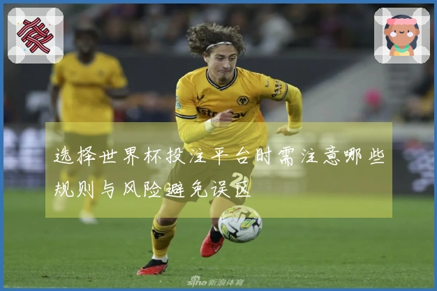 选择世界杯投注平台时需注意哪些规则与风险避免误区