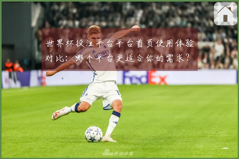 世界杯投注平台平台首页使用体验对比：哪个平台更适合你的需求？