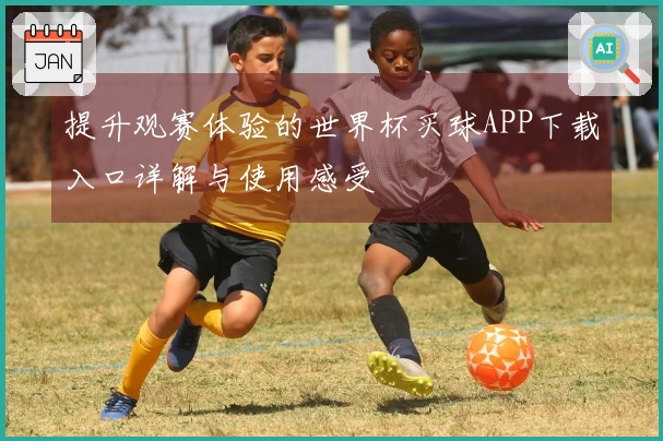 提升观赛体验的世界杯买球APP下载入口详解与使用感受