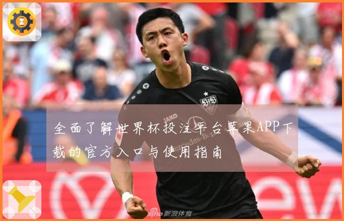 全面了解世界杯投注平台苹果APP下载的官方入口与使用指南