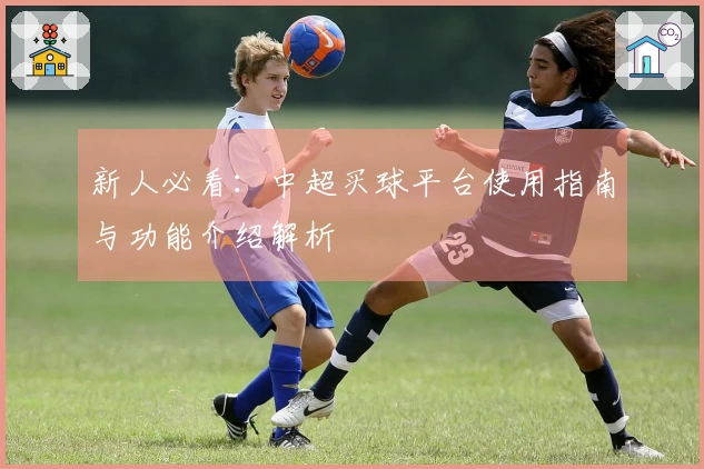新人必看：中超买球平台使用指南与功能介绍解析