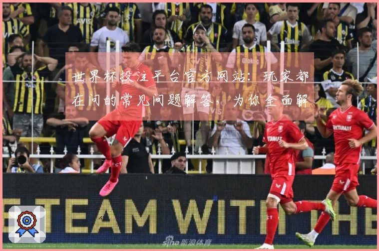 世界杯投注平台官方网站：玩家都在问的常见问题解答，为你全面解析使用指南