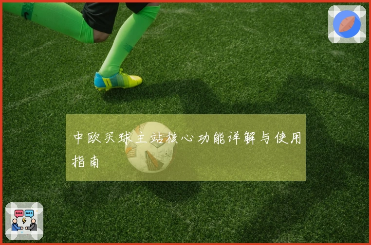 中欧买球主站核心功能详解与使用指南
