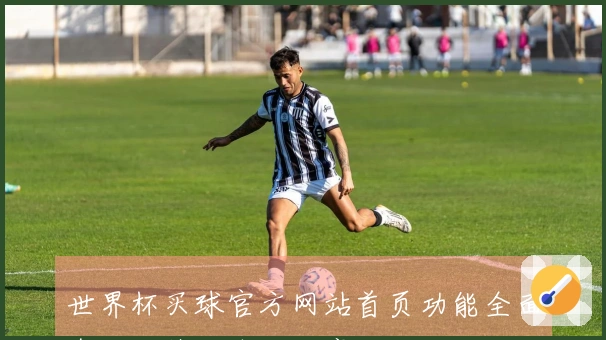 世界杯买球官方网站首页功能全面介绍及使用体验分享