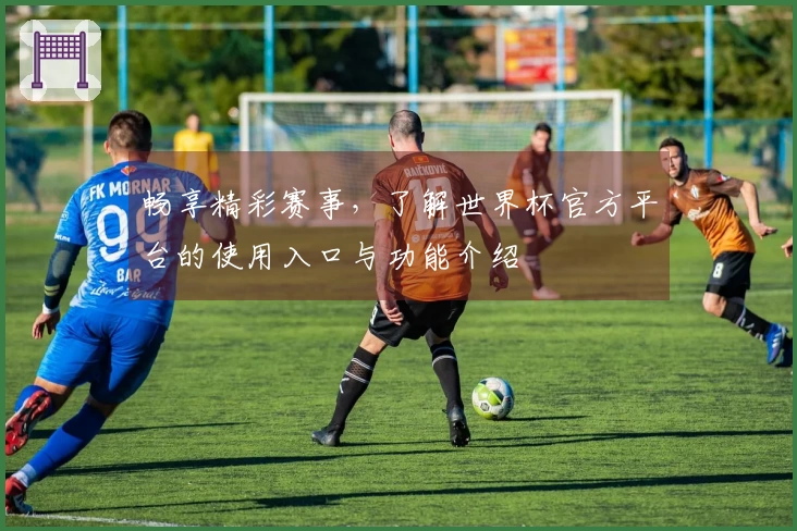 畅享精彩赛事，了解世界杯官方平台的使用入口与功能介绍