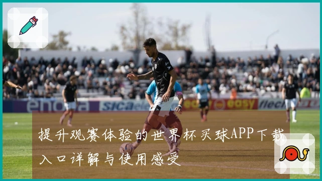 提升观赛体验的世界杯买球APP下载入口详解与使用感受